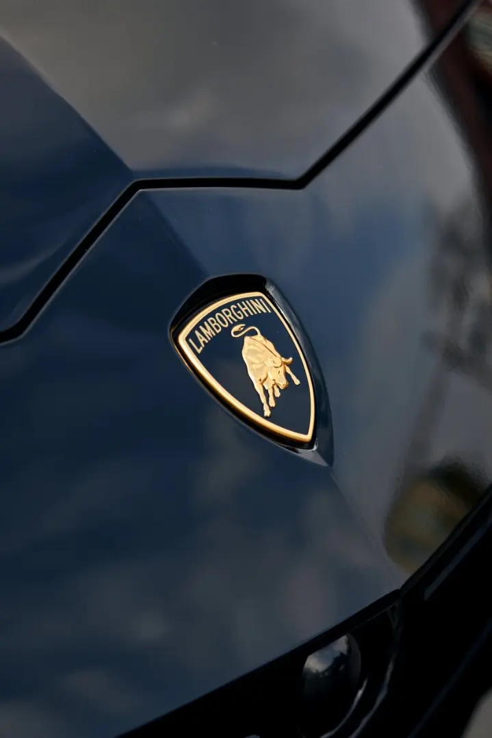 Lamborghini Urus в ПОЛИШ ПРЕМИУМ — фото 13